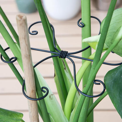 5PCS Monstera Plant Support Hook - 4.1 * 4.4IN Stem Holder