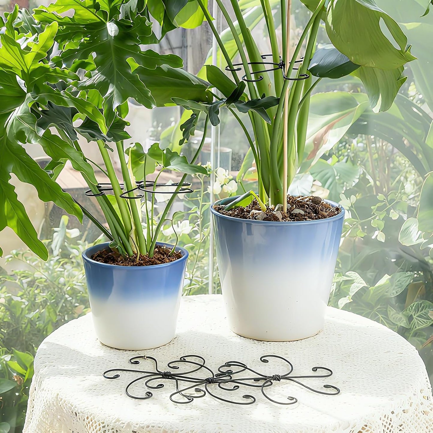 5PCS Monstera Plant Support Hook - 4.1 * 4.4IN Stem Holder