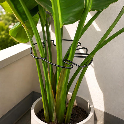 5PCS Monstera Plant Support Hook - 4.1 * 4.4IN Stem Holder