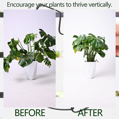 5PCS Monstera Plant Support Hook - 4.1 * 4.4IN Stem Holder