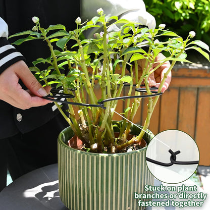 5PCS Monstera Plant Support Hook - 4.1 * 4.4IN Stem Holder