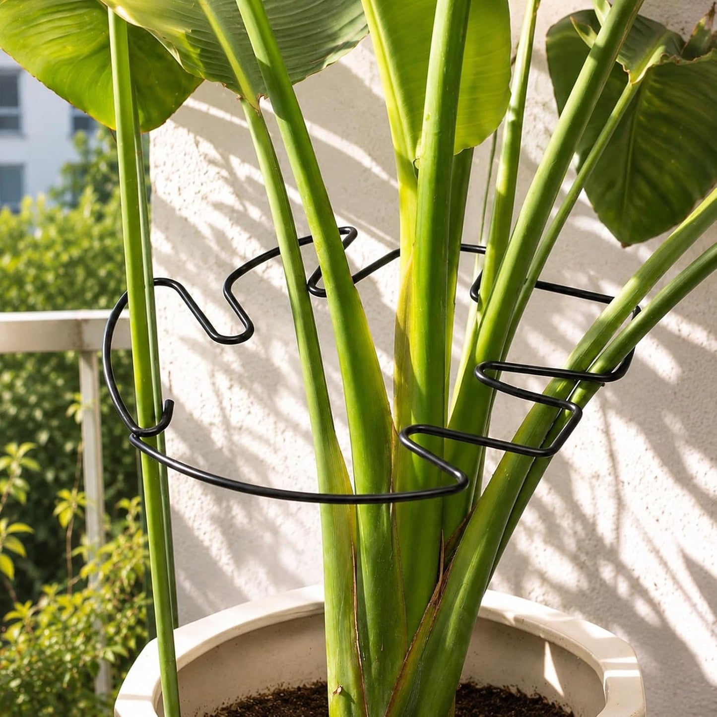 5PCS Monstera Plant Support Hook - 4.1 * 4.4IN Stem Holder