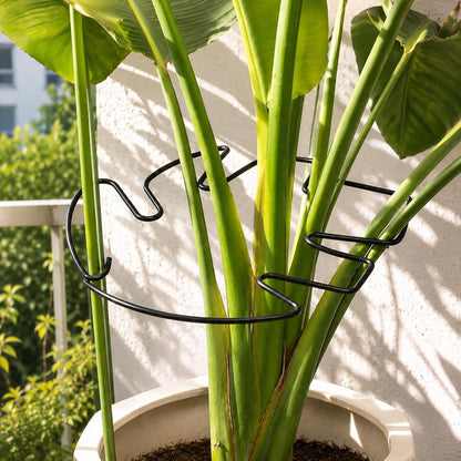 5PCS Monstera Plant Support Hook - 4.1 * 4.4IN Stem Holder