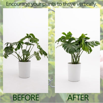 5PCS Monstera Plant Support Hook - 4.1 * 4.4IN Stem Holder