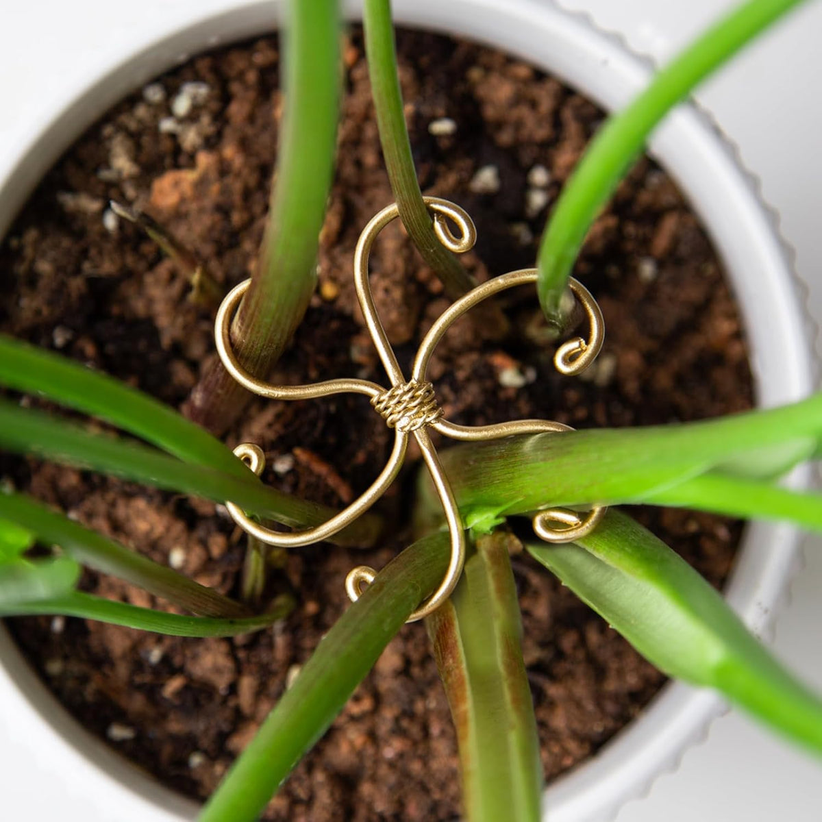 5PCS Monstera Plant Support Hook - 4.1 * 4.4IN Stem Holder