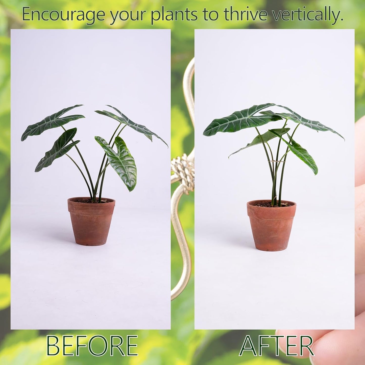 5PCS Monstera Plant Support Hook - 4.1 * 4.4IN Stem Holder
