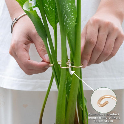 5PCS Monstera Plant Support Hook - 4.1 * 4.4IN Stem Holder