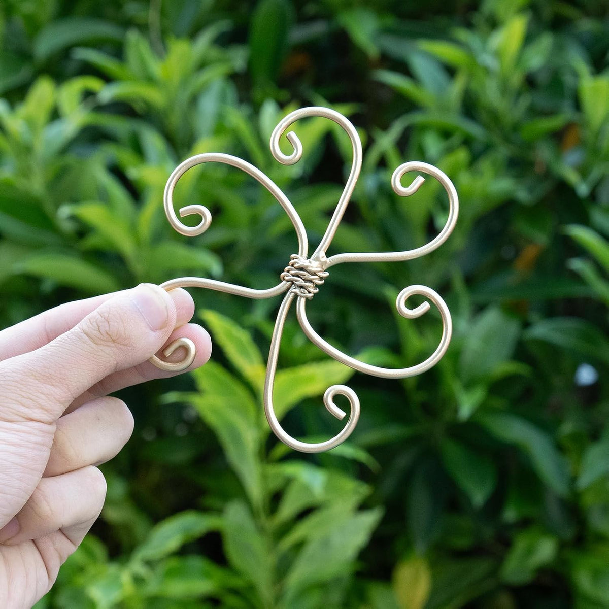 5PCS Monstera Plant Support Hook - 4.1 * 4.4IN Stem Holder
