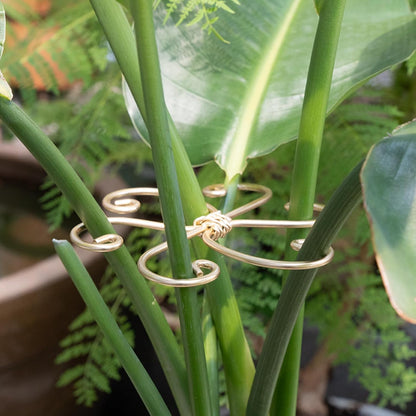 5PCS Monstera Plant Support Hook - 4.1 * 4.4IN Stem Holder