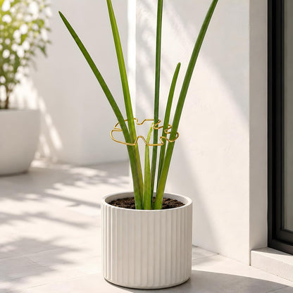 5PCS Monstera Plant Support Hook - 4.1 * 4.4IN Stem Holder