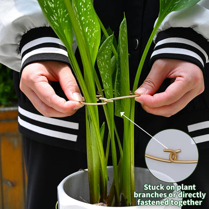 5PCS Monstera Plant Support Hook - 4.1 * 4.4IN Stem Holder