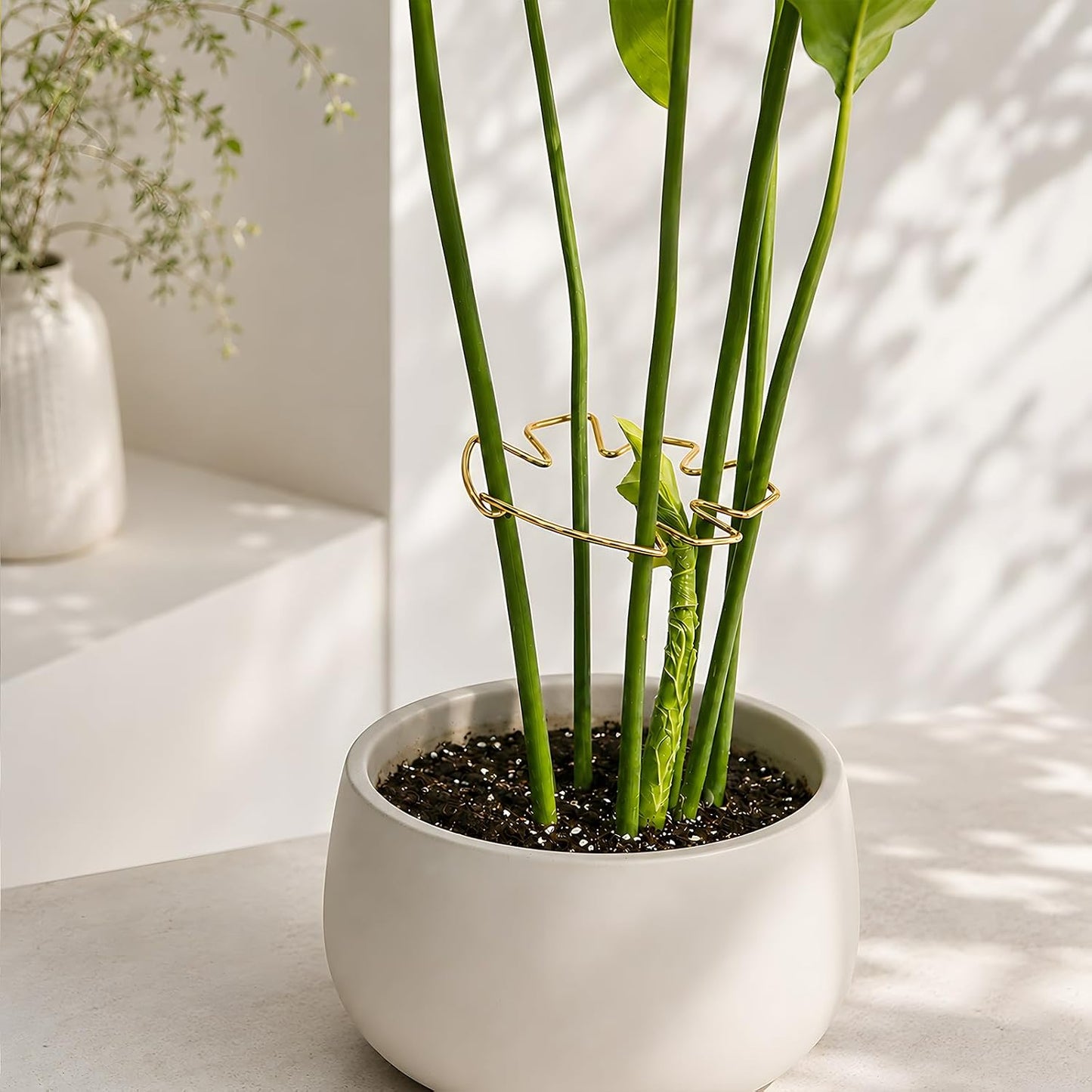 5PCS Monstera Plant Support Hook - 4.1 * 4.4IN Stem Holder