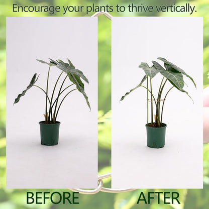 5PCS Monstera Plant Support Hook - 4.1 * 4.4IN Stem Holder