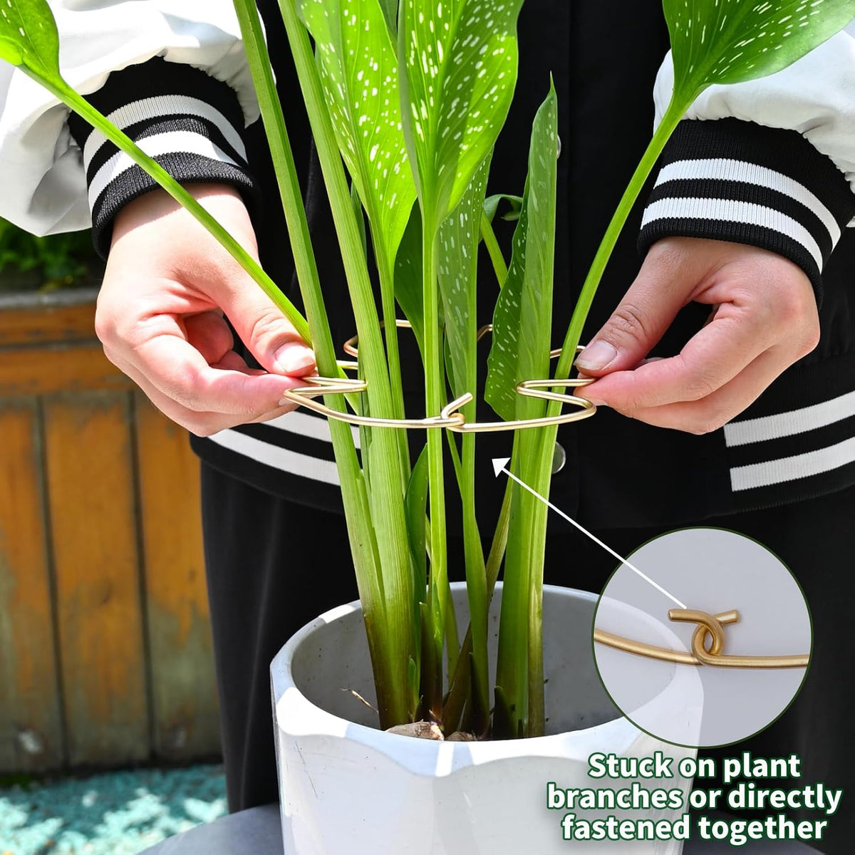 5PCS Monstera Plant Support Hook - 4.1 * 4.4IN Stem Holder