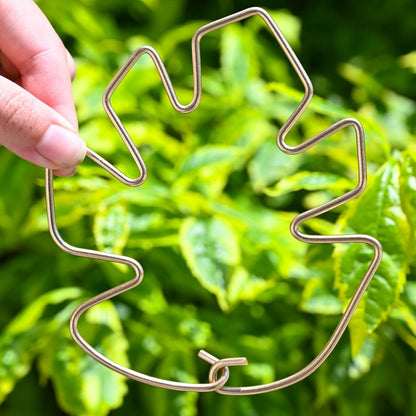 5PCS Monstera Plant Support Hook - 4.1 * 4.4IN Stem Holder