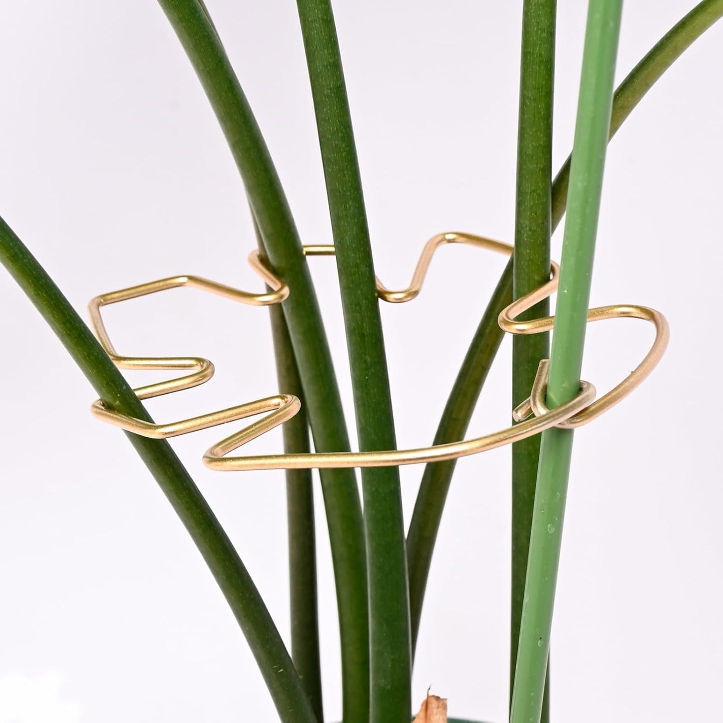5PCS Monstera Plant Support Hook - 4.1 * 4.4IN Stem Holder