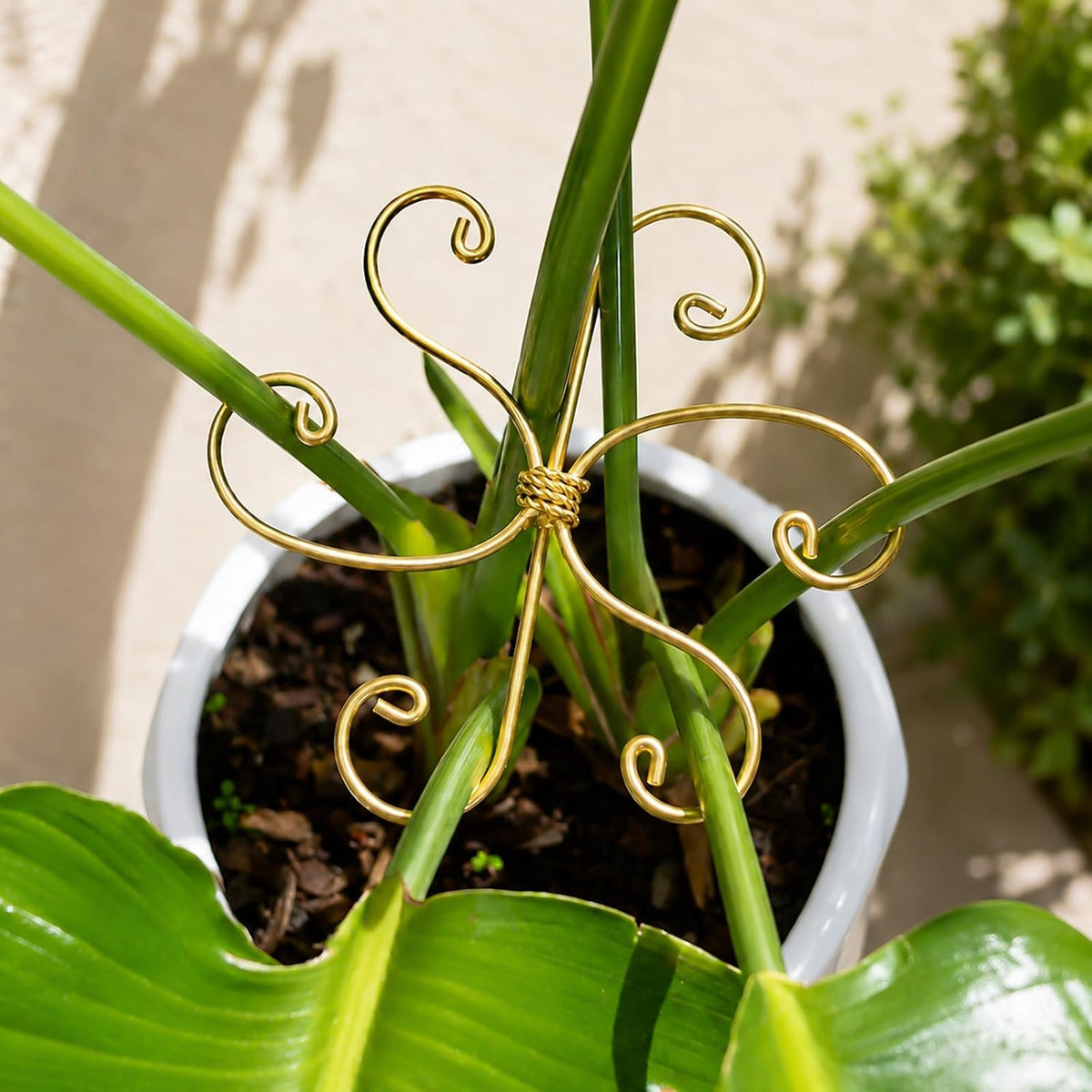 5PCS Monstera Plant Support Hook - 4.1 * 4.4IN Stem Holder