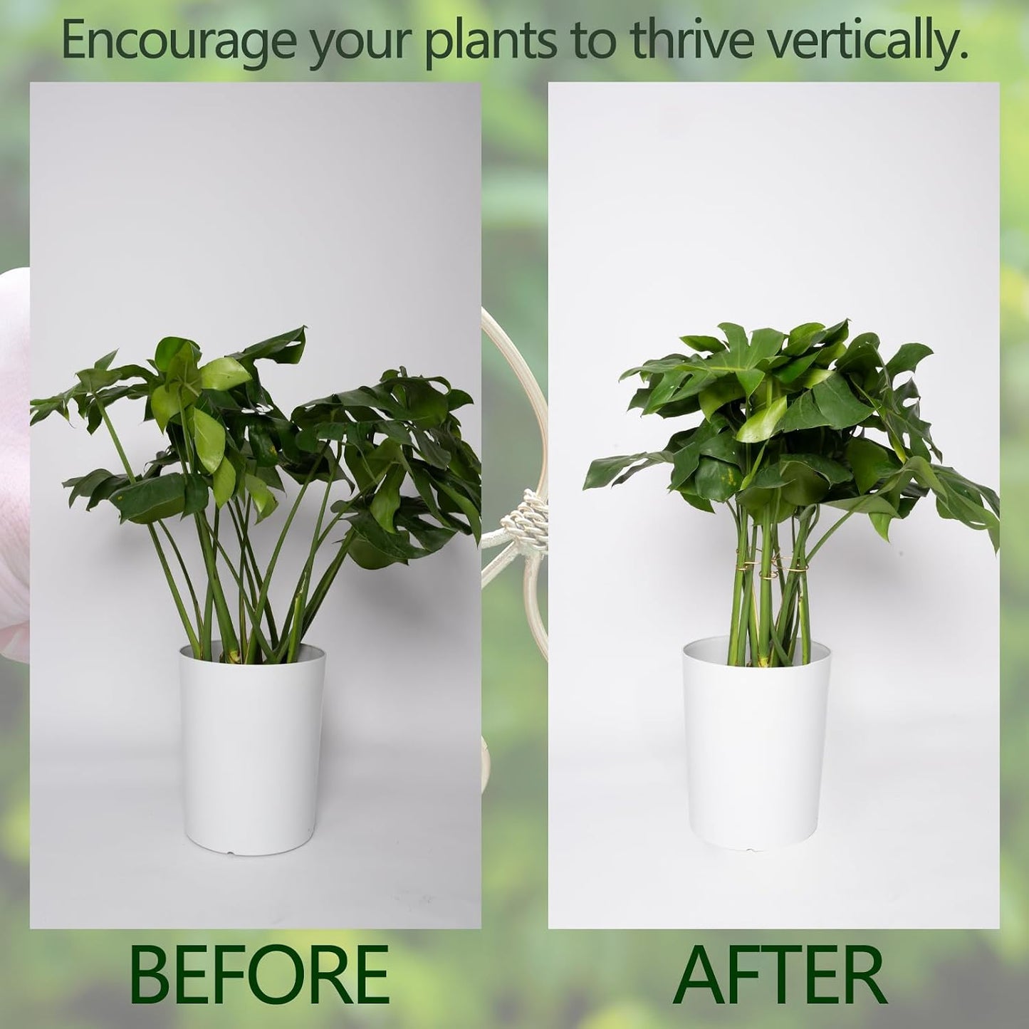 5PCS Monstera Plant Support Hook - 4.1 * 4.4IN Stem Holder