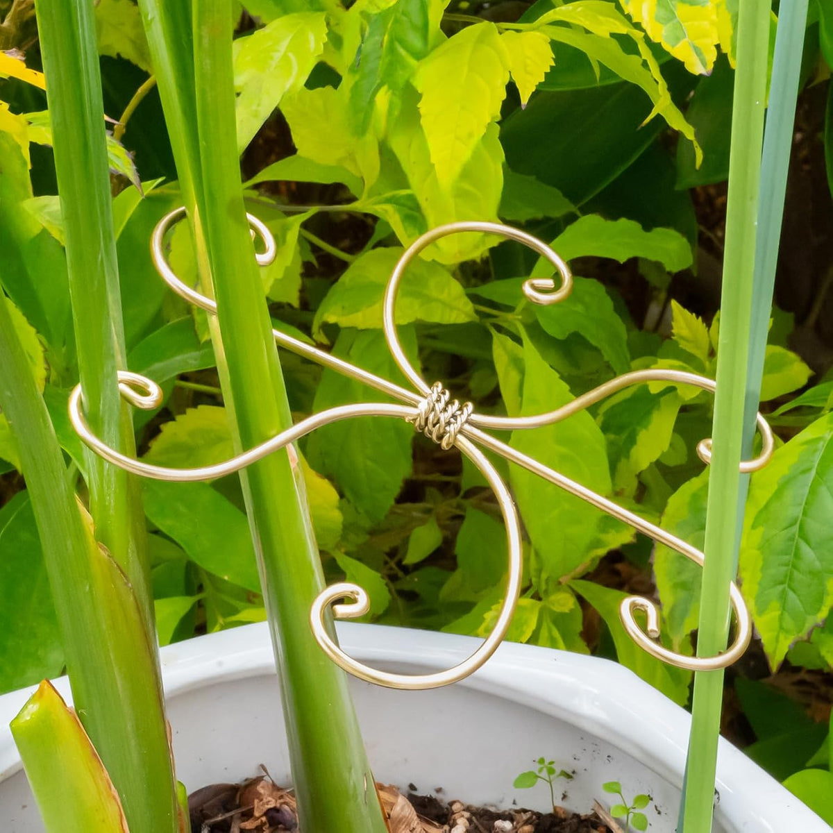 5PCS Monstera Plant Support Hook - 4.1 * 4.4IN Stem Holder