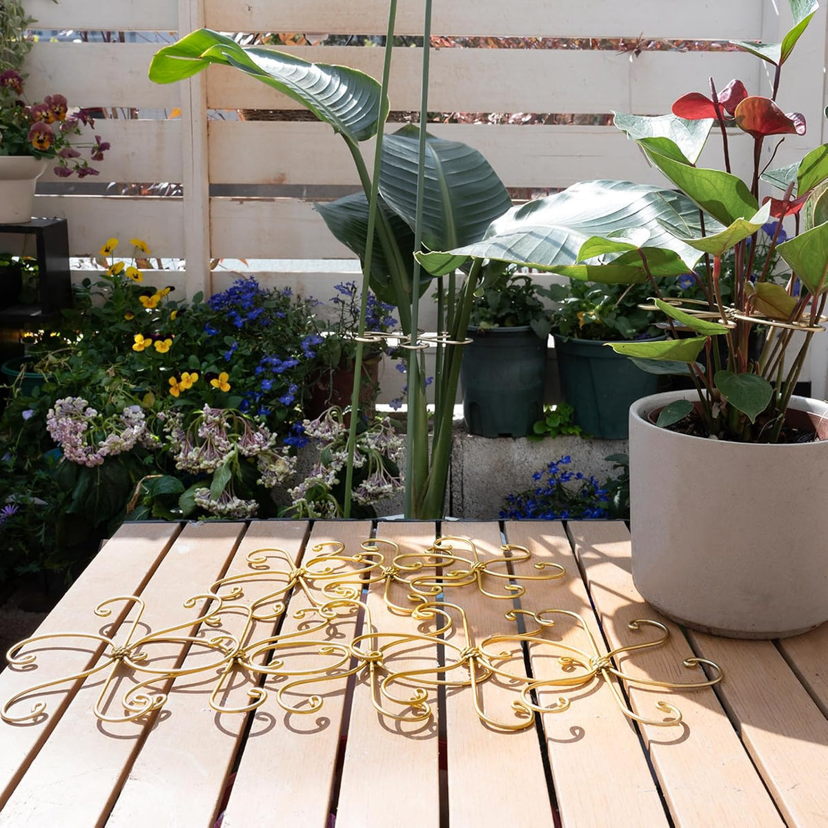 5PCS Monstera Plant Support Hook - 4.1 * 4.4IN Stem Holder