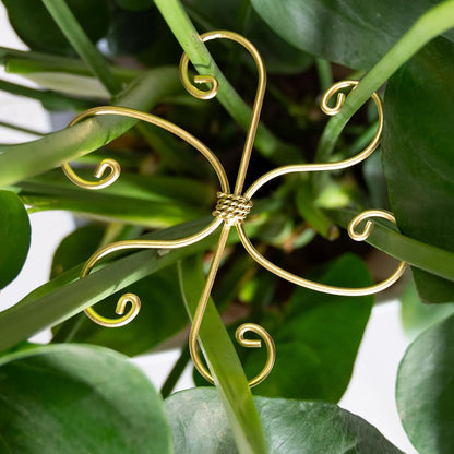 5PCS Monstera Plant Support Hook - 4.1 * 4.4IN Stem Holder
