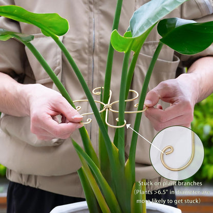 5PCS Monstera Plant Support Hook - 4.1 * 4.4IN Stem Holder