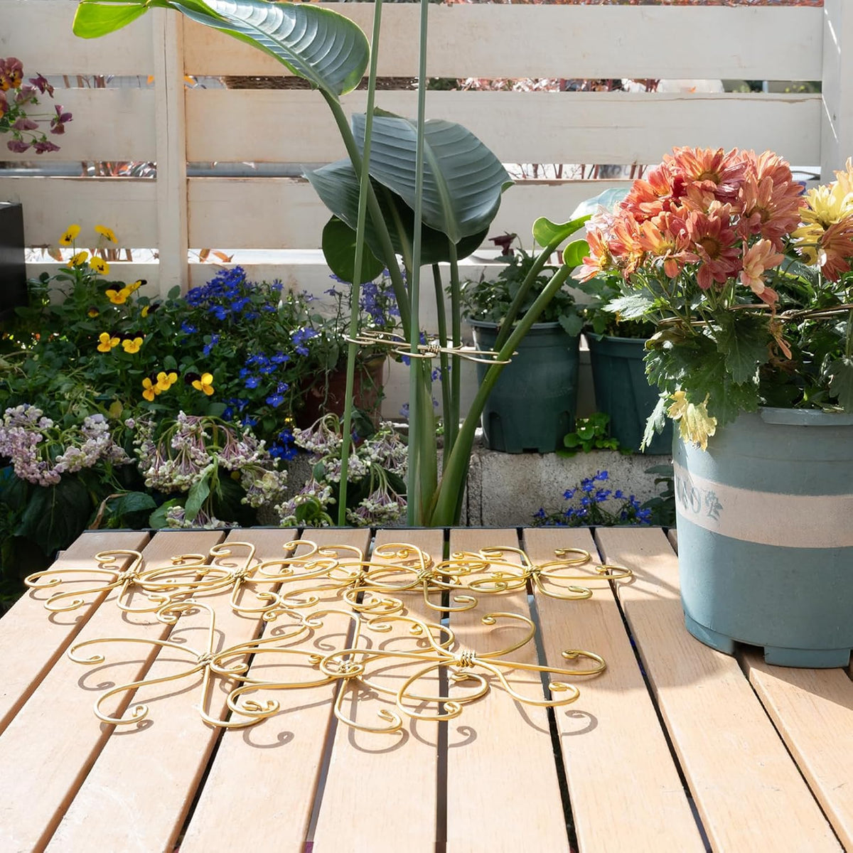 5PCS Monstera Plant Support Hook - 4.1 * 4.4IN Stem Holder