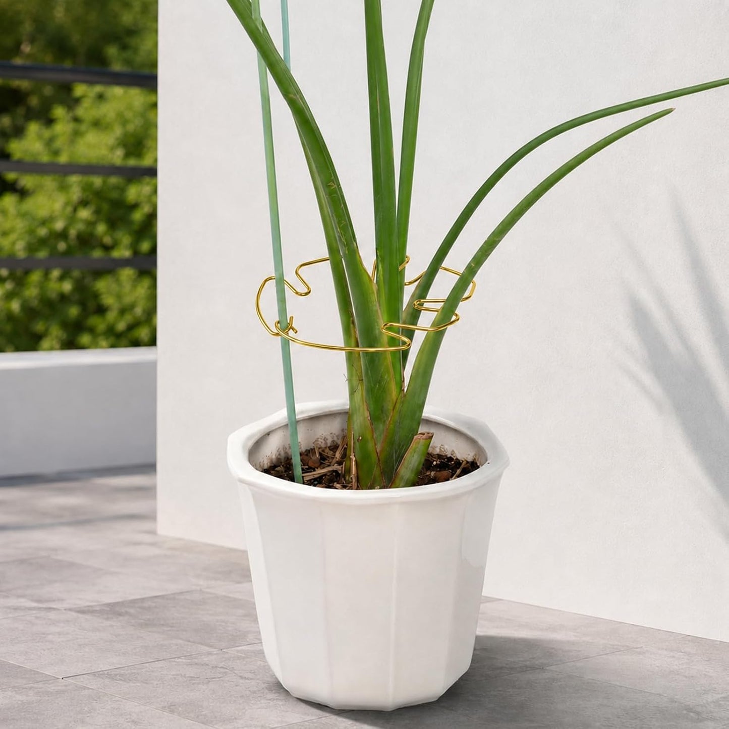5PCS Monstera Plant Support Hook - 4.1 * 4.4IN Stem Holder