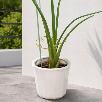 5PCS Monstera Plant Support Hook - 4.1 * 4.4IN Stem Holder