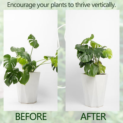 5PCS Monstera Plant Support Hook - 4.1 * 4.4IN Stem Holder