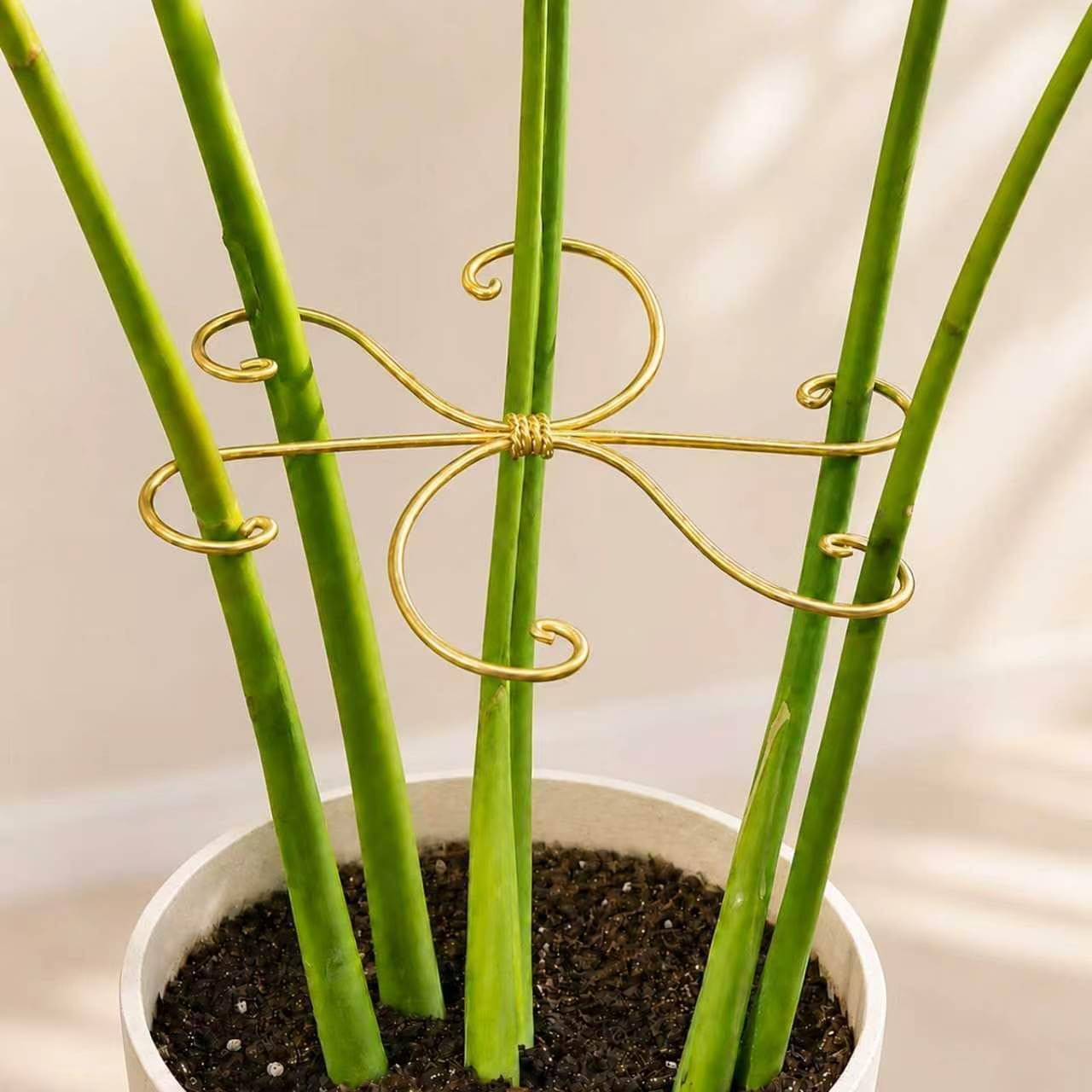 5PCS Monstera Plant Support Hook - 4.1 * 4.4IN Stem Holder