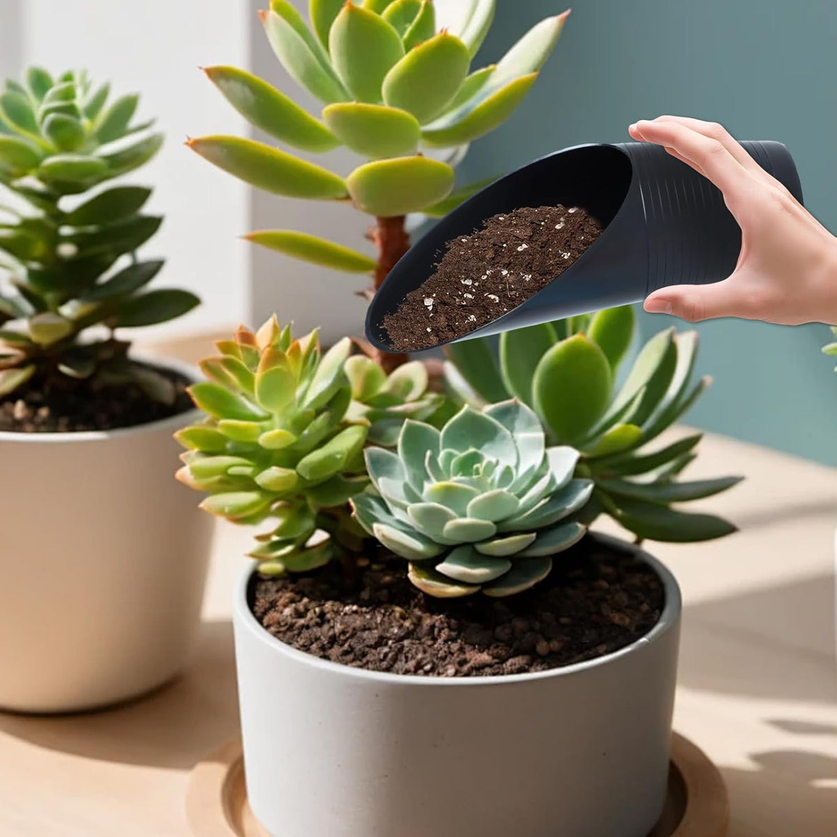 8Pcs Bonsai Soil Scoop - Plastic Succulent Soil Scoop Indoor Plants Little Small Potting Shovel Bucket Shovel Transplanting Set for Garden Planting