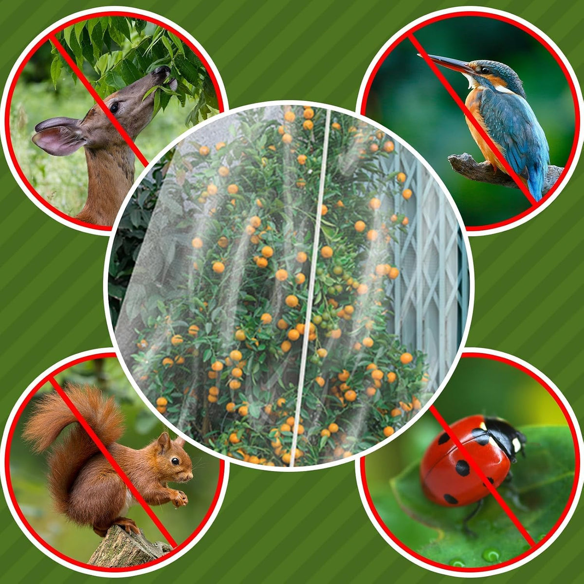 2Pack Garden Netting 10X10 Feet Large Fruit Tree Netting