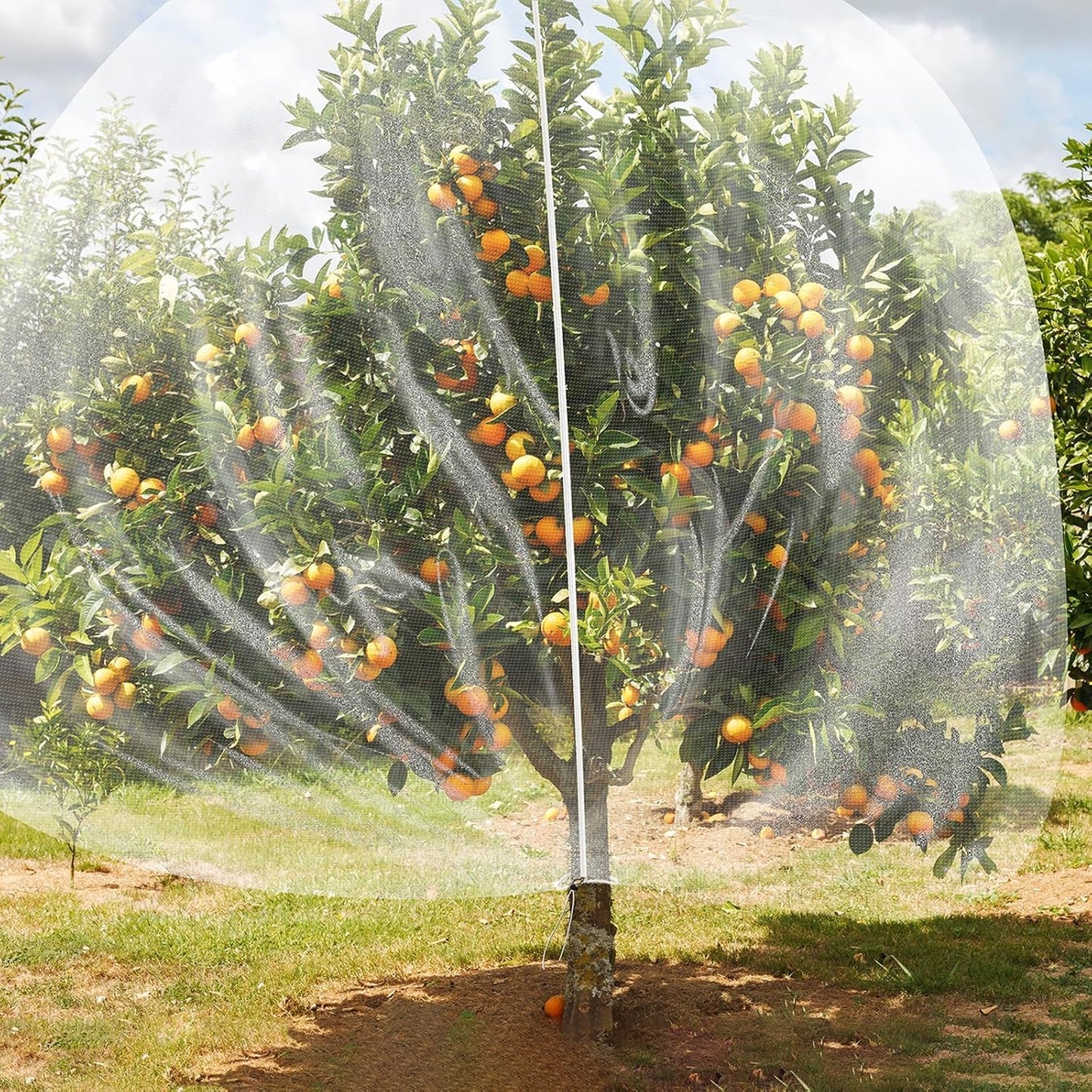 2Pack Garden Netting 10X10 Feet Large Fruit Tree Netting