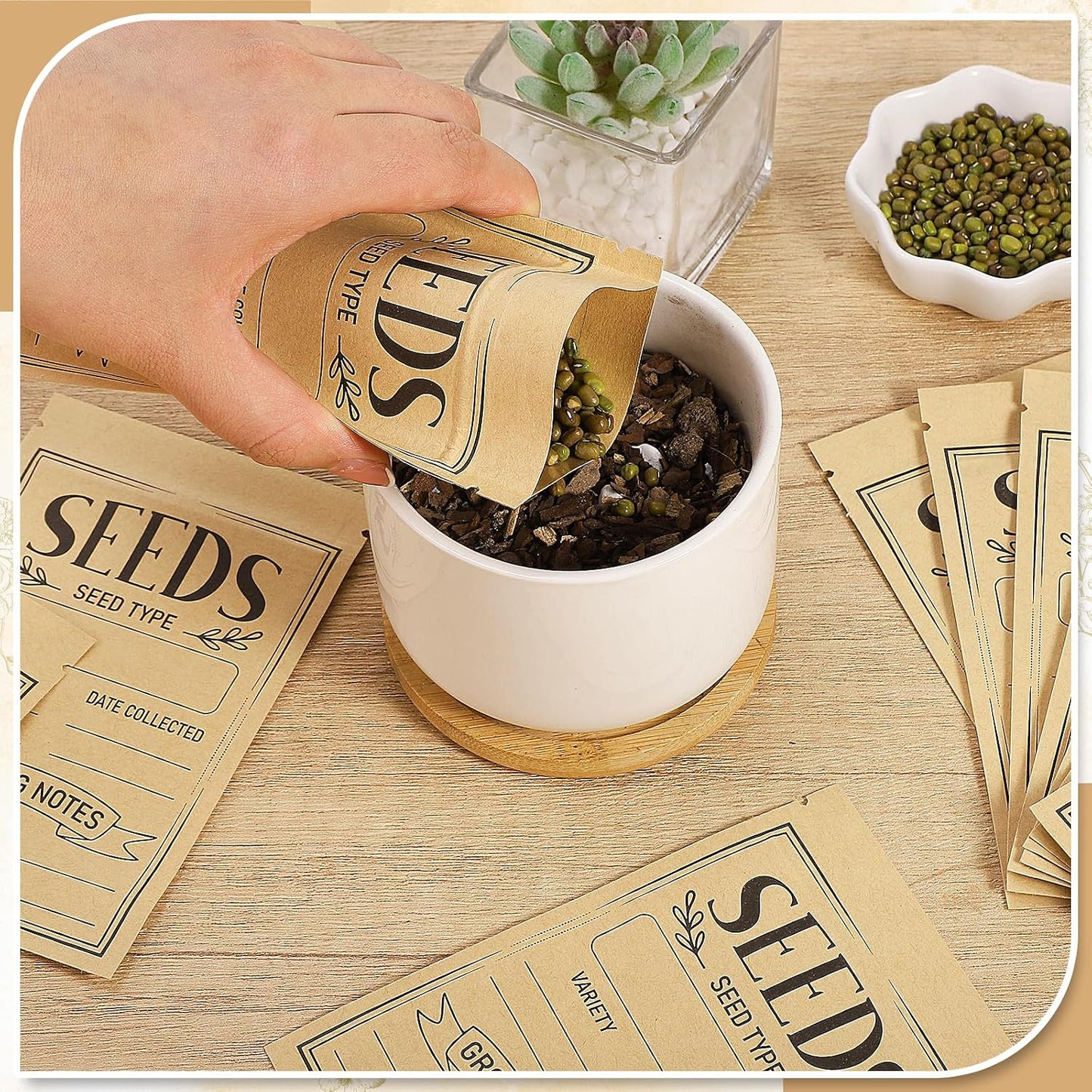 120 Pcs Seed Envelopes 3.54 x 5.5 In Resealable Window Packets Organizer