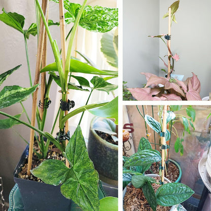 Plants Orchid Support Clips Flower Vine Clips Plant Clips Orchid Clips 30 Pcs for Supporting Stems Vines Stalks Climbing Plant Grow Upright