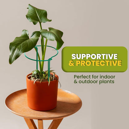 6 Pack Plant Support Stakes – Peony Cages and Supports –10" W x 16" - 24" H