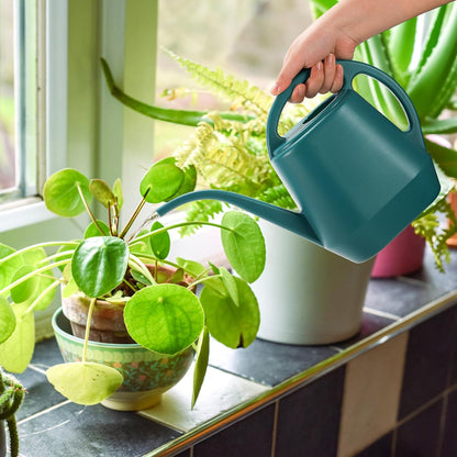 Watering Can, 1/2 Gallon Plastic Watering Cans with Comfortable Handle, Small Garden Watering Cans Long Spout for Indoor Outdoor Watering Plants, Green