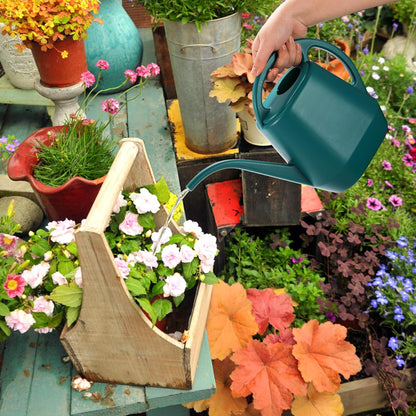 Watering Can, 1/2 Gallon Plastic Watering Cans with Comfortable Handle, Small Garden Watering Cans Long Spout for Indoor Outdoor Watering Plants, Green