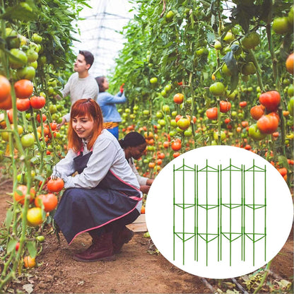 6 Packs Tomato Cage for Garden, Up to 48Inch Plant Support Stakes