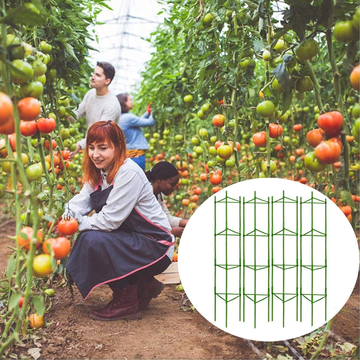 6 Packs Tomato Cage for Garden, Up to 48Inch Plant Support Stakes