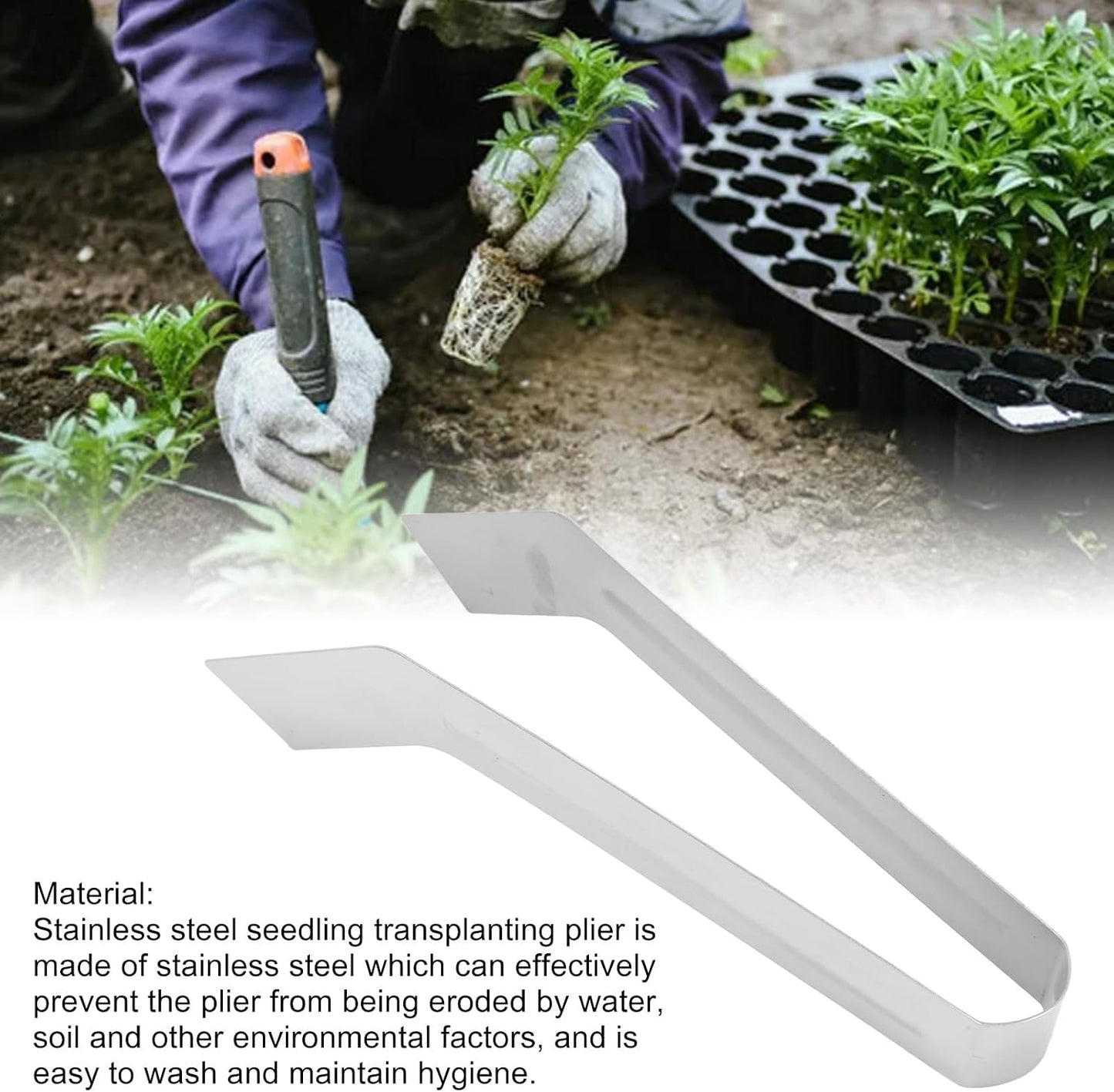 Seedling Transplant Tong, 8.86 Inch Stainless Steel Plants Transplant Tong Seedling Removal Gardening Garden Gardening Supplies