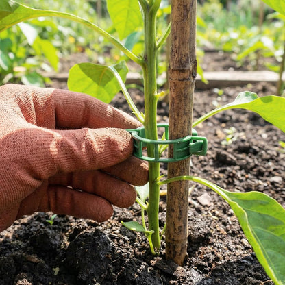 100 Pcs Plant Support Clips, Plastic Tomato Vine Clips for Securing Plants, Garden Fixing Clips for Climbing Plants, Grape & Vine Vegetables, Green