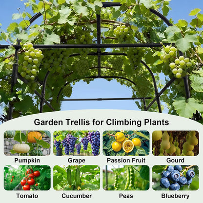 7*5.4* 5FT Arch Metal Garden Trellis,Outdoor Climbing Support Frame