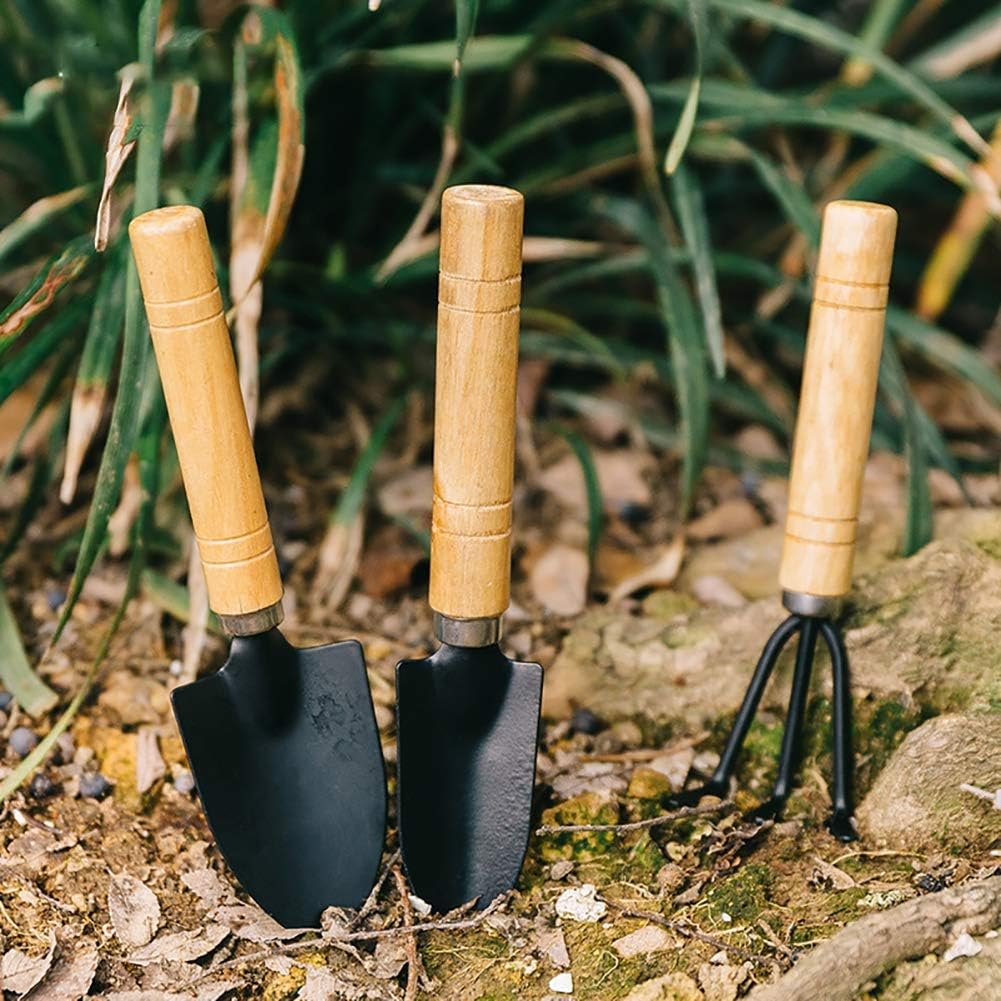 3Pcs Garden Tool Set Garden Tools Kit High Heavy Duty Cast Gardening Tool Set with Hand Trowel Transplant Trowel and Hand Rake