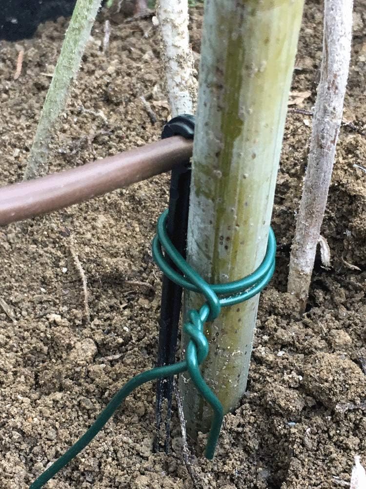 2.0mm Plant Cages Garden Twist Tie Bonsai Training Wire Twist 50 Feet