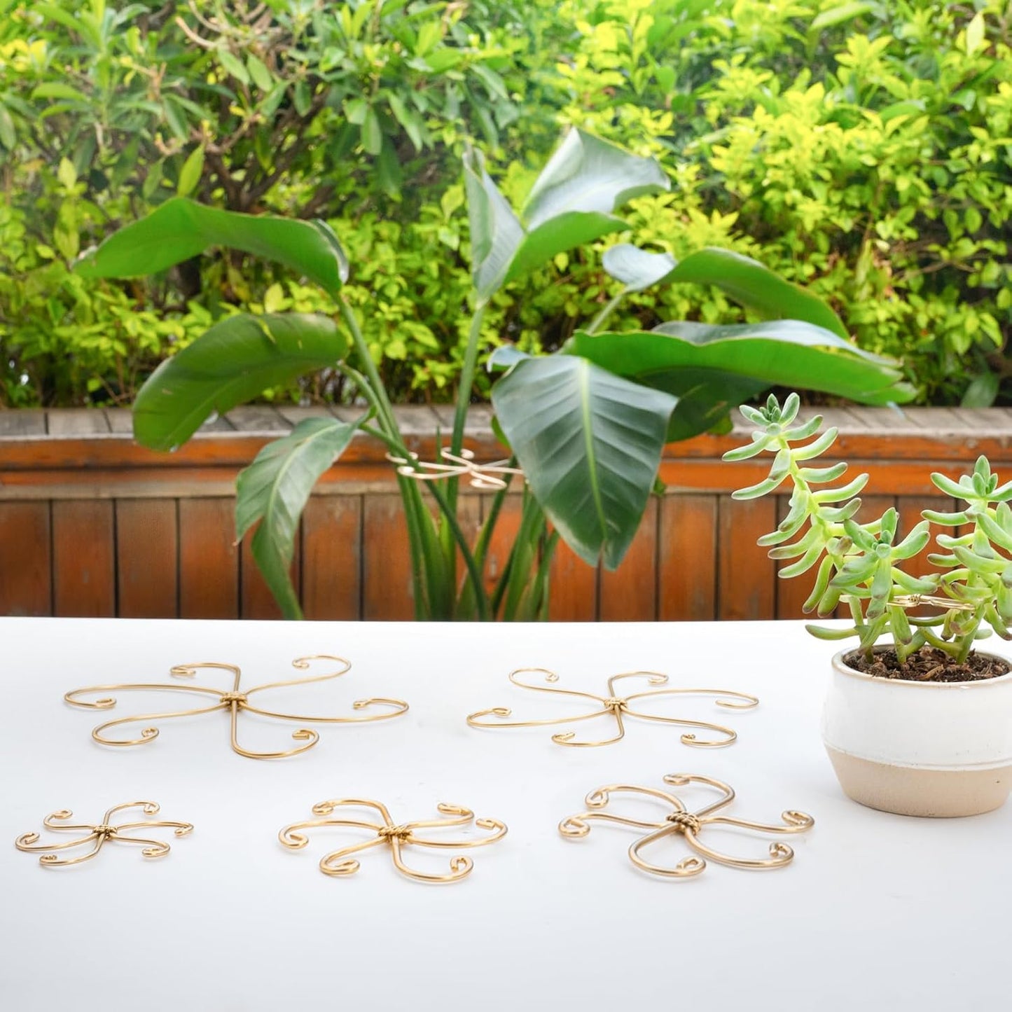 5PCS Metal Plant Stem Support-Monstera Stabilizer Grapple Holder