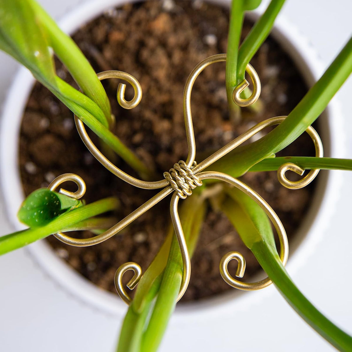5PCS Metal Plant Stem Support-Monstera Stabilizer Grapple Holder
