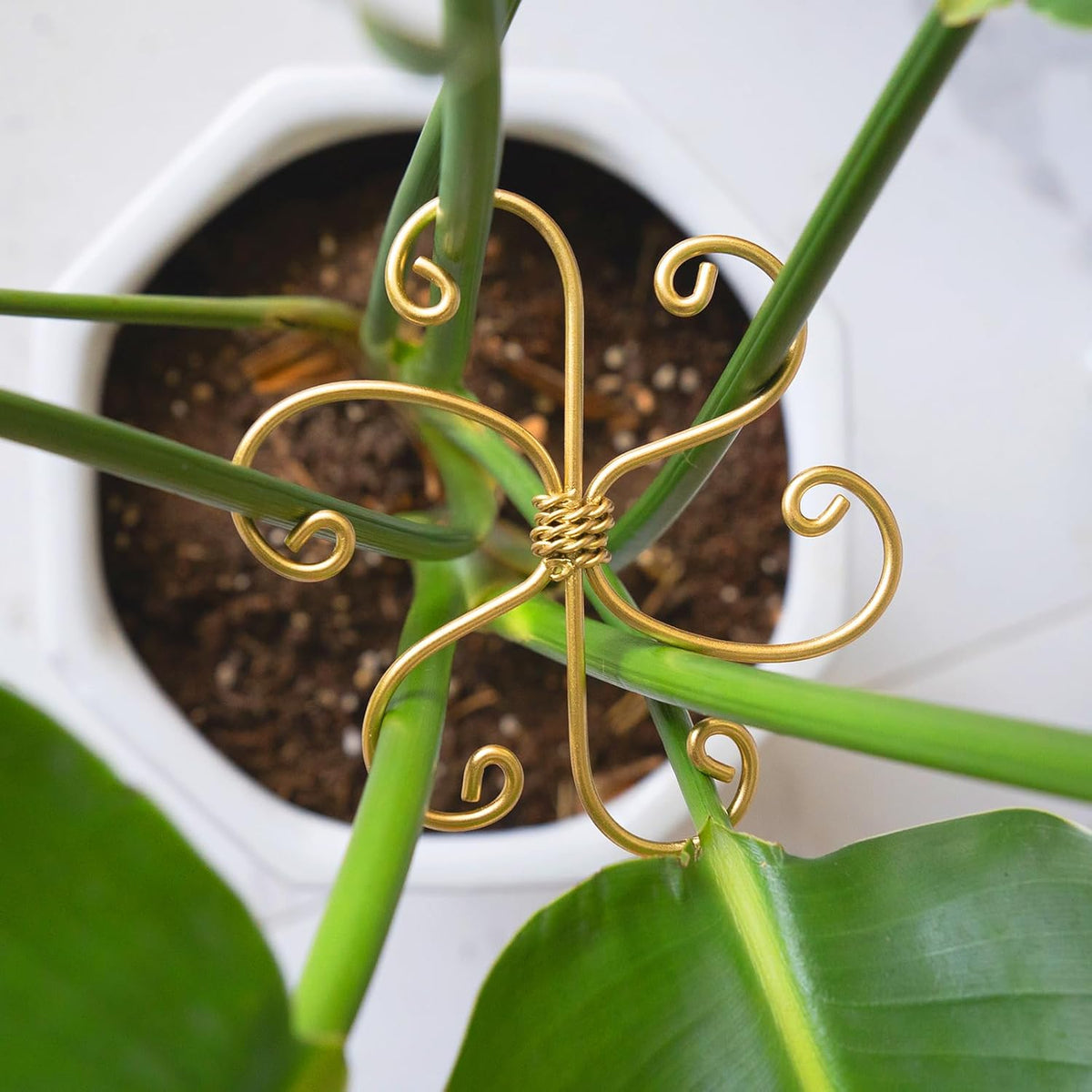5PCS Metal Plant Stem Support-Monstera Stabilizer Grapple Holder