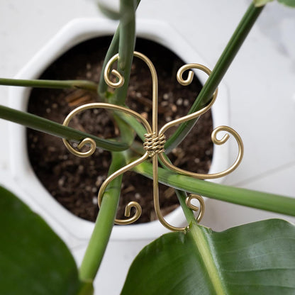 5PCS Metal Plant Stem Support-Monstera Stabilizer Grapple Holder